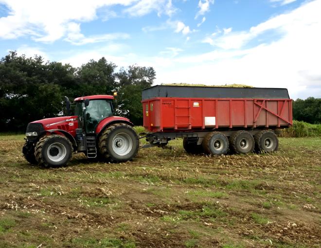 ensilage d'herbe avec autochargeuse